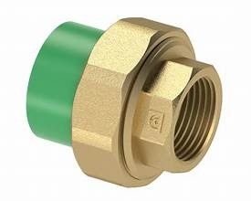 PPR Transition Union Female Brass Green Qatar